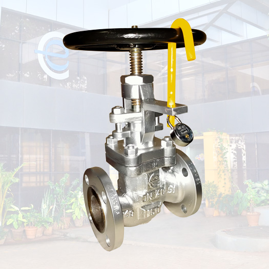 Gate and globe valves with locking arrangement
